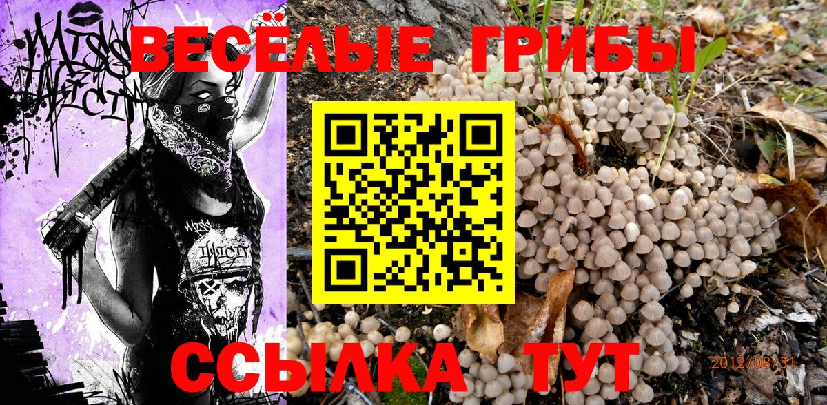 Фрязино  Галлюциногенные грибы прущие грибы  Вход с VPN 